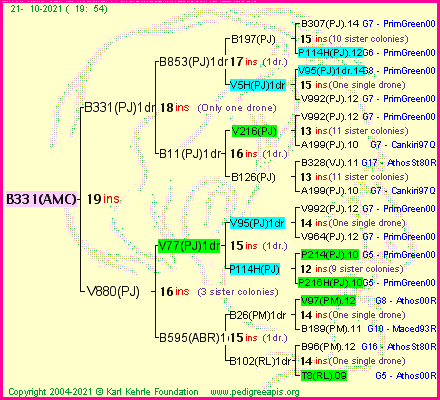 Pedigree of B331(AMC) :
four generations presented
it's temporarily unavailable, sorry!