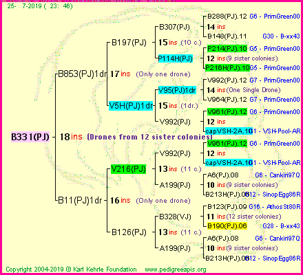Pedigree of B331(PJ) :
four generations presented<br />it's temporarily unavailable, sorry!