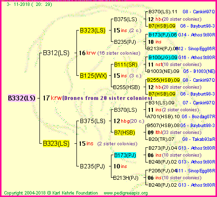 Pedigree of B332(LS) :
four generations presented<br />it's temporarily unavailable, sorry!