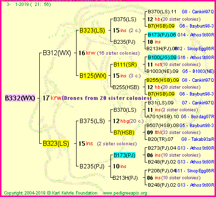 Pedigree of B332(WX) :
four generations presented<br />it's temporarily unavailable, sorry!