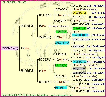 Pedigree of B333(AMC) :
four generations presented
it's temporarily unavailable, sorry!