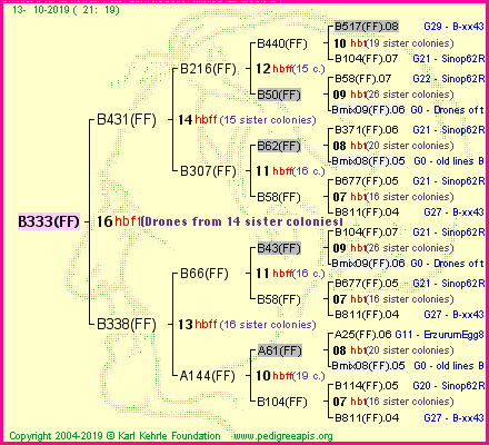 Pedigree of B333(FF) :
four generations presented<br />it's temporarily unavailable, sorry!