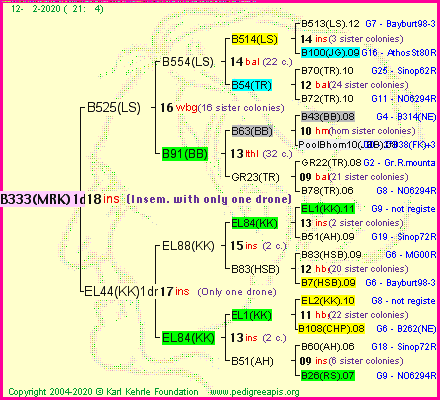 Pedigree of B333(MRK)1dr :
four generations presented<br />it's temporarily unavailable, sorry!