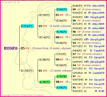 Pedigree of B333(PJ) :
four generations presented