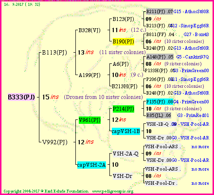 Pedigree of B333(PJ) :
four generations presented
it's temporarily unavailable, sorry!