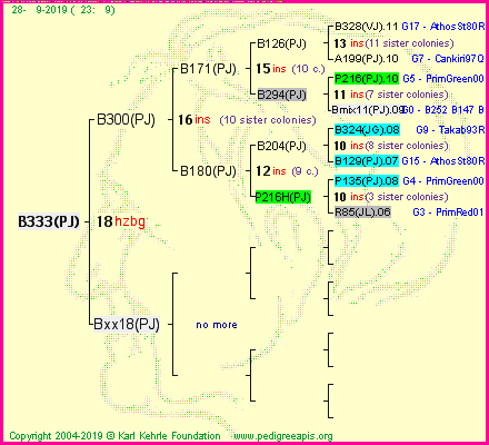 Pedigree of B333(PJ) :
four generations presented
it's temporarily unavailable, sorry!