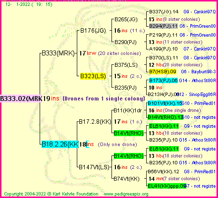 Pedigree of B333.02(MRK) :
four generations presented
it's temporarily unavailable, sorry!