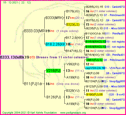 Pedigree of B333.13(MRK) :
four generations presented
it's temporarily unavailable, sorry!