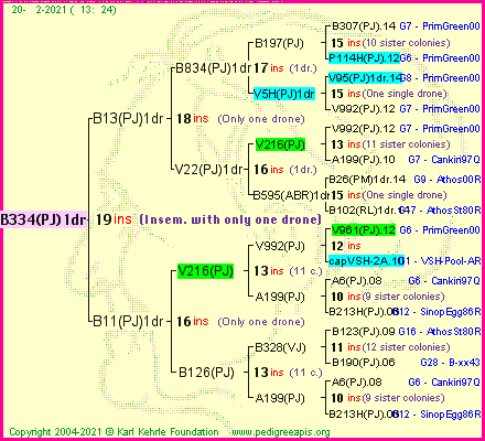 Pedigree of B334(PJ)1dr :
four generations presented
it's temporarily unavailable, sorry!