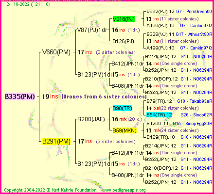 Pedigree of B335(PM) :
four generations presented
it's temporarily unavailable, sorry!