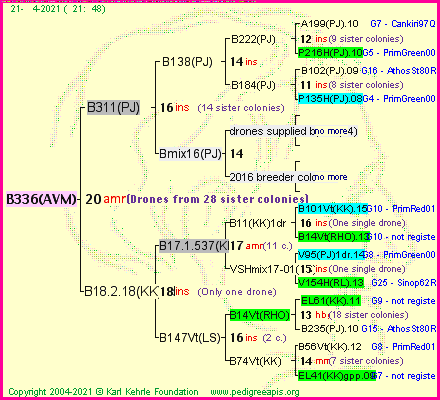 Pedigree of B336(AVM) :
four generations presented
it's temporarily unavailable, sorry!