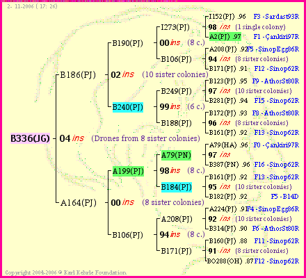 Pedigree of B336(JG) :
four generations presented