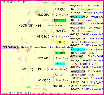 Pedigree of B337(AMC) :
four generations presented
it's temporarily unavailable, sorry!