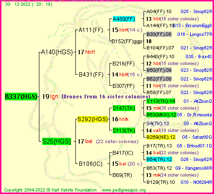 Pedigree of B337(HGS) :
four generations presented
it's temporarily unavailable, sorry!