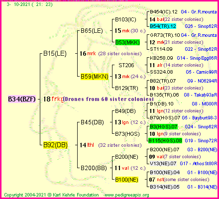 Pedigree of B34(BZF) :
four generations presented
it's temporarily unavailable, sorry!