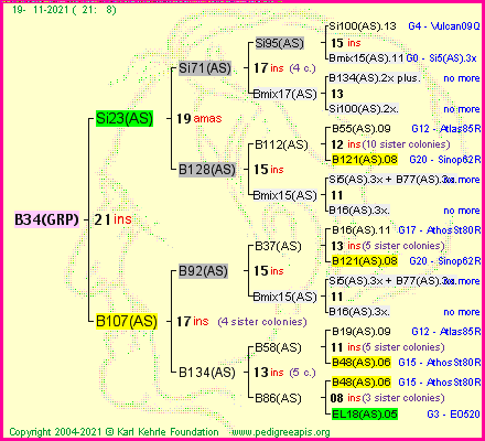 Pedigree of B34(GRP) :
four generations presented
it's temporarily unavailable, sorry!