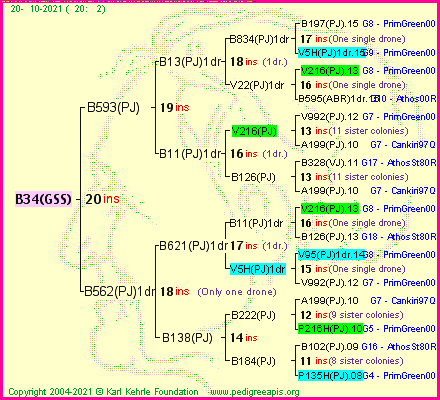 Pedigree of B34(GSS) :
four generations presented
it's temporarily unavailable, sorry!