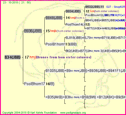 Pedigree of B34(JBB) :
four generations presented<br />it's temporarily unavailable, sorry!