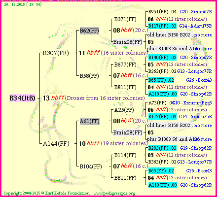 Pedigree of B34(JtB) :
four generations presented<br />it's temporarily unavailable, sorry!
