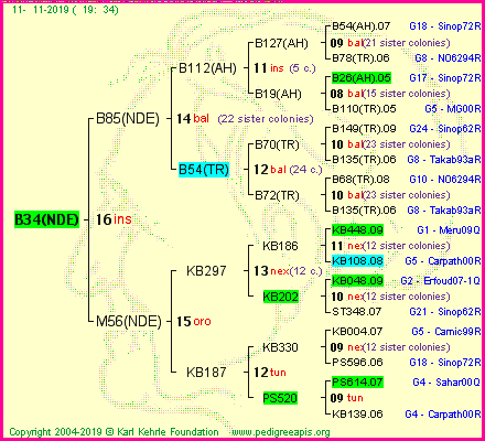 Pedigree of B34(NDE) :
four generations presented
it's temporarily unavailable, sorry!