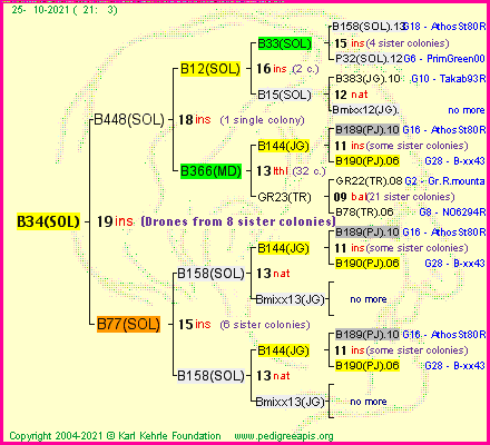 Pedigree of B34(SOL) :
four generations presented
it's temporarily unavailable, sorry!