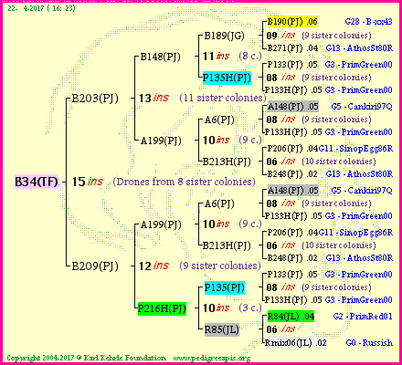 Pedigree of B34(TF) :
four generations presented
it's temporarily unavailable, sorry!