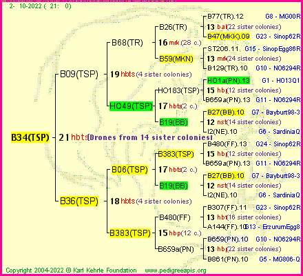 Pedigree of B34(TSP) :
four generations presented
it's temporarily unavailable, sorry!