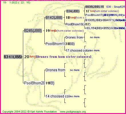 Pedigree of B341(JBB) :
four generations presented
it's temporarily unavailable, sorry!