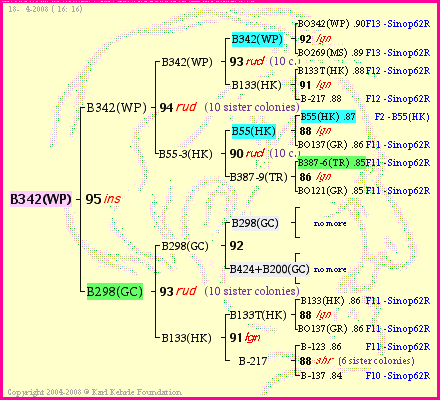 Pedigree of B342(WP) :
four generations presented