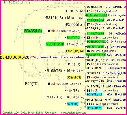 Pedigree of B3420.36(ABA) :
four generations presented
it's temporarily unavailable, sorry!