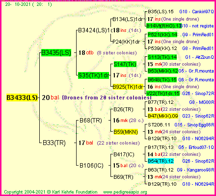 Pedigree of B3433(LS) :
four generations presented
it's temporarily unavailable, sorry!