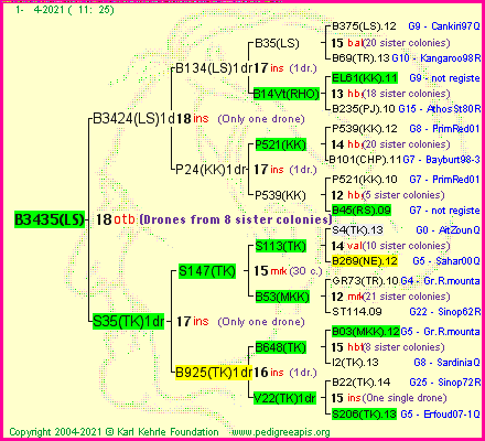 Pedigree of B3435(LS) :
four generations presented
it's temporarily unavailable, sorry!