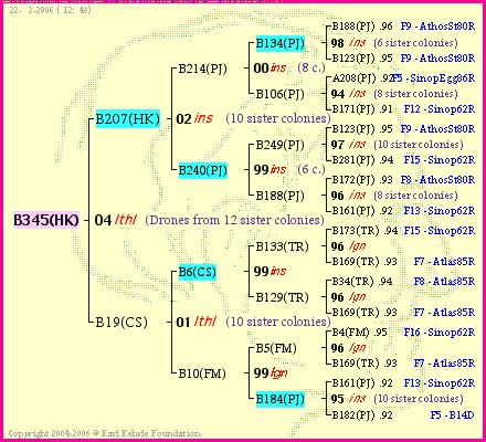 Pedigree of B345(HK) :
four generations presented