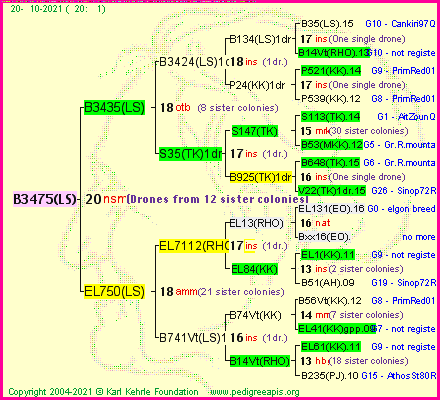 Pedigree of B3475(LS) :
four generations presented
it's temporarily unavailable, sorry!