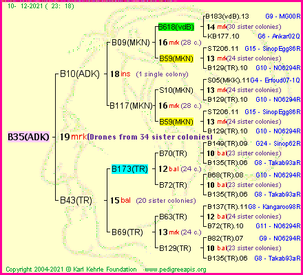 Pedigree of B35(ADK) :
four generations presented
it's temporarily unavailable, sorry!