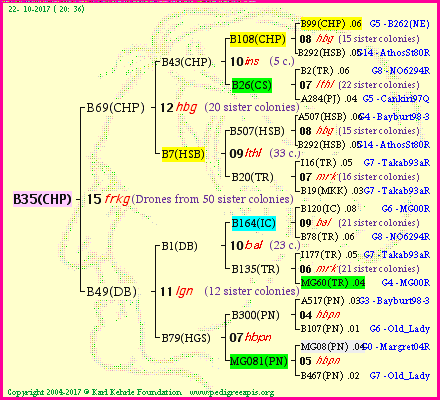 Pedigree of B35(CHP) :
four generations presented<br />it's temporarily unavailable, sorry!