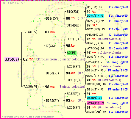 Pedigree of B35(CS) :
four generations presented<br />it's temporarily unavailable, sorry!