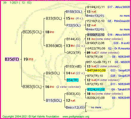 Pedigree of B35(FE) :
four generations presented
it's temporarily unavailable, sorry!