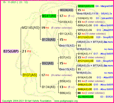 Pedigree of B35(GRP) :
four generations presented
it's temporarily unavailable, sorry!