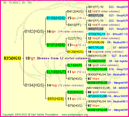 Pedigree of B35(HGS) :
four generations presented
it's temporarily unavailable, sorry!