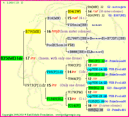 Pedigree of B35(ME)1dr :
four generations presented<br />it's temporarily unavailable, sorry!