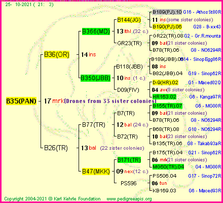 Pedigree of B35(PAN) :
four generations presented
it's temporarily unavailable, sorry!