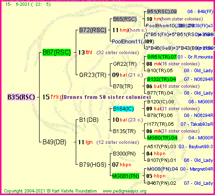 Pedigree of B35(RSC) :
four generations presented
it's temporarily unavailable, sorry!