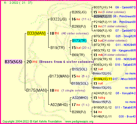 Pedigree of B35(SGS) :
four generations presented
it's temporarily unavailable, sorry!