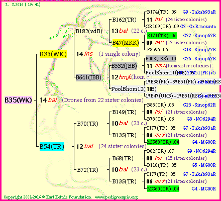 Pedigree of B35(WK) :
four generations presented
it's temporarily unavailable, sorry!