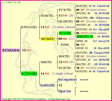 Pedigree of B350(GRA) :
four generations presented
it's temporarily unavailable, sorry!