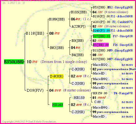 Pedigree of B350(JBB) :
four generations presented