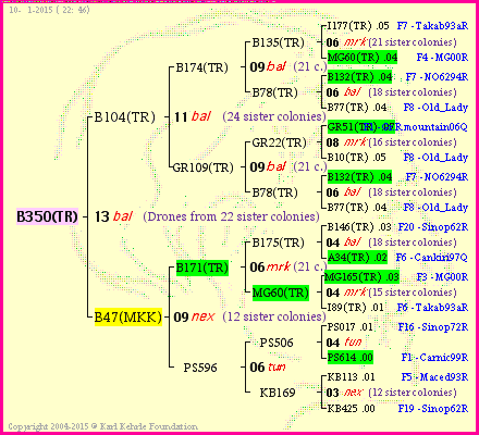 Pedigree of B350(TR) :
four generations presented