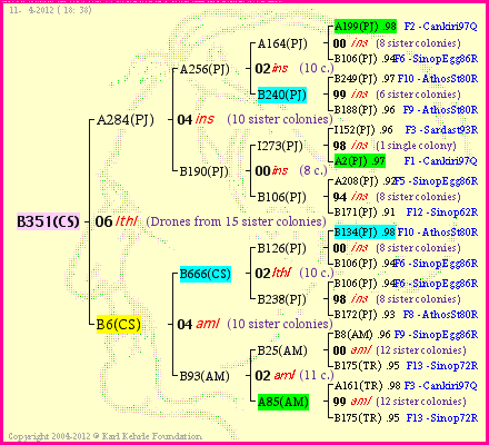 Pedigree of B351(CS) :
four generations presented
it's temporarily unavailable, sorry!