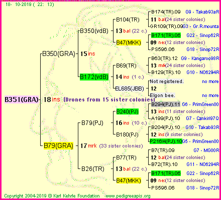 Pedigree of B351(GRA) :
four generations presented
it's temporarily unavailable, sorry!